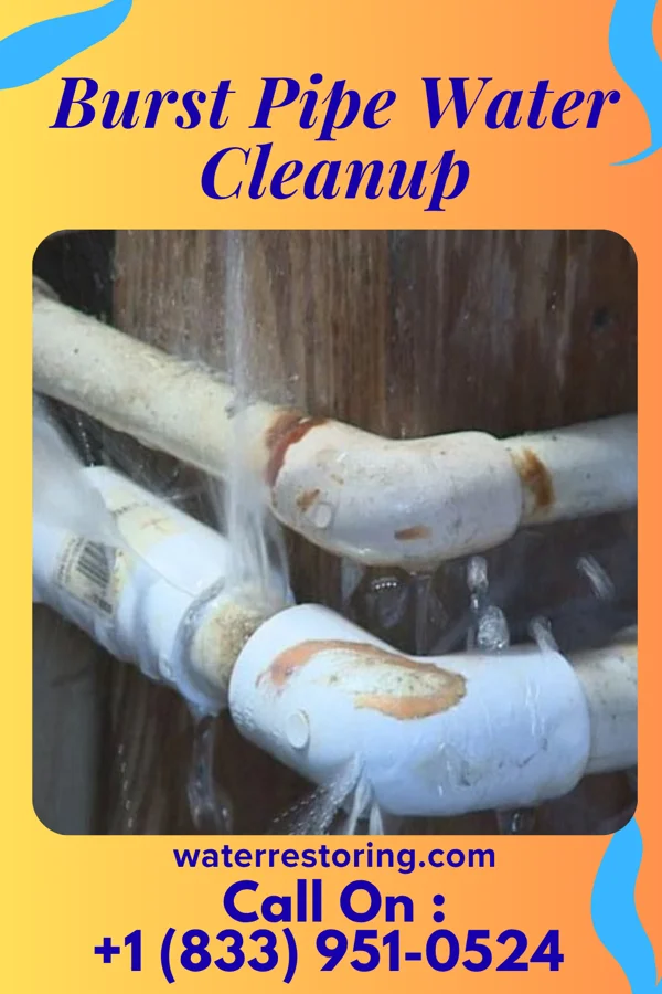 Burst Pipe Water Cleanup in Dexter City, OH