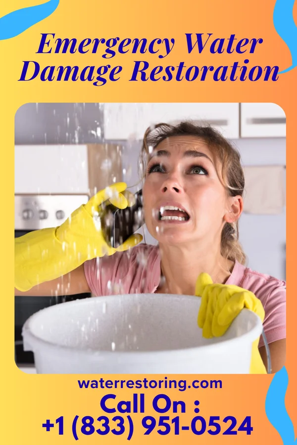 Emergency Water Damage Restoration in Dexter City, OH