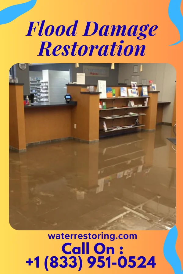 Flood Damage Restoration in Dexter City, OH