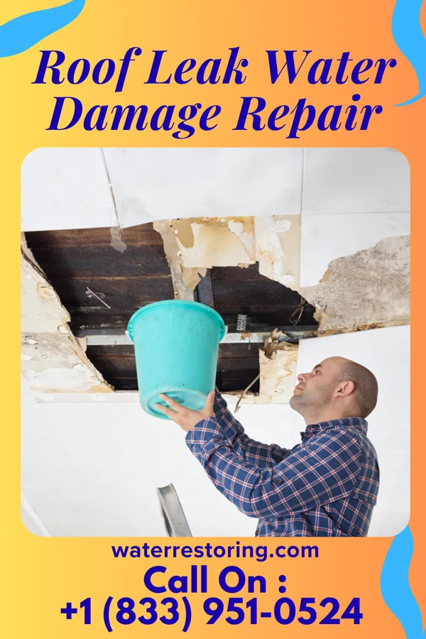 Roof Leak Water Damage Repair in Dexter City, OH
