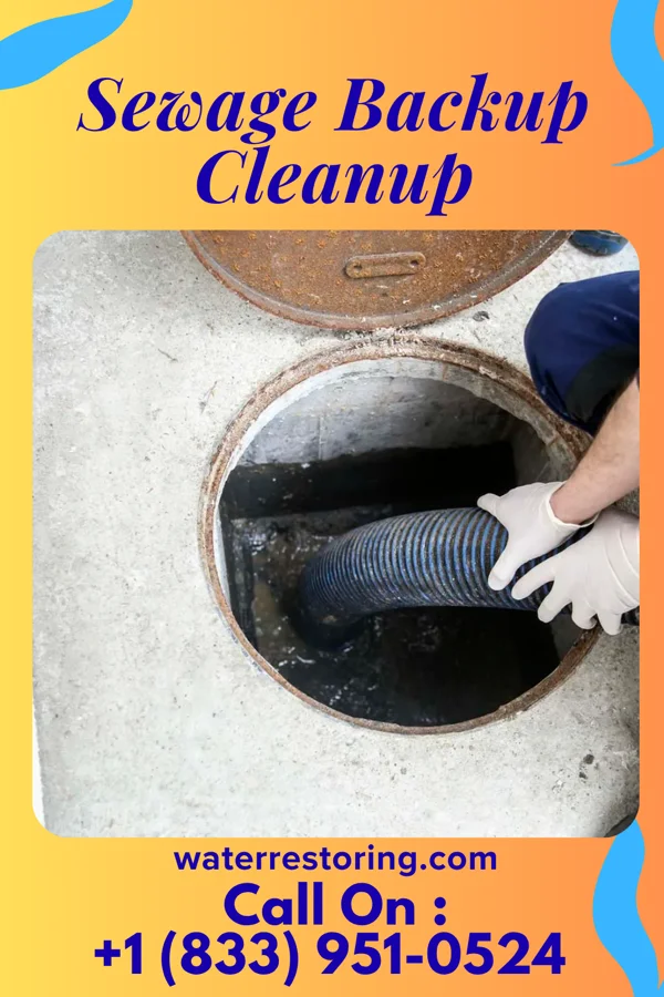 Sewage Backup Cleanup in Dexter City, OH