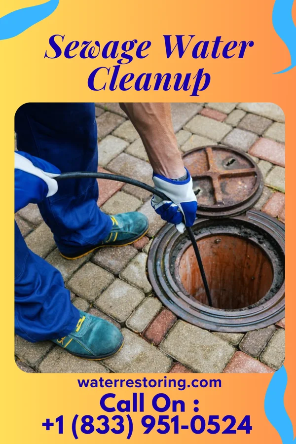 Sewage Water Cleanup in Dexter City, OH
